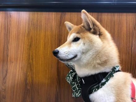 Annie Cheng帶著屁摳腿來報到囉！