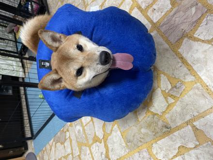 【Jany】帶著【娃娃】來報到囉！