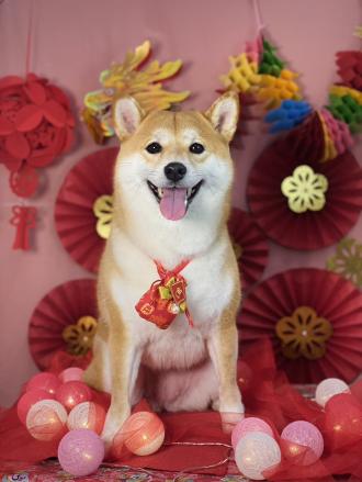 【Doris Tseng】帶著【錢錢】來報到囉！