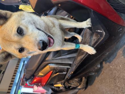 【PL】帶著【樂樂】來報到囉！