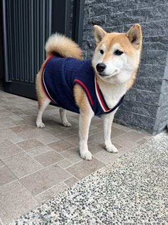 【Nora Doo】帶著【柴妹】來報到囉！