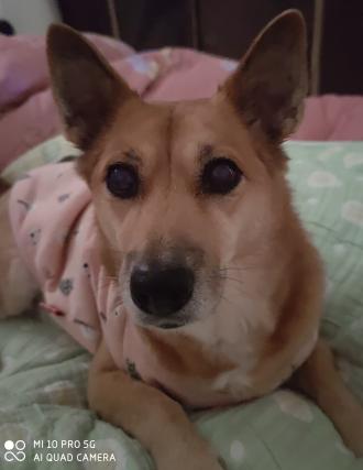 【Kai】帶著【LUCKY】來報到囉！