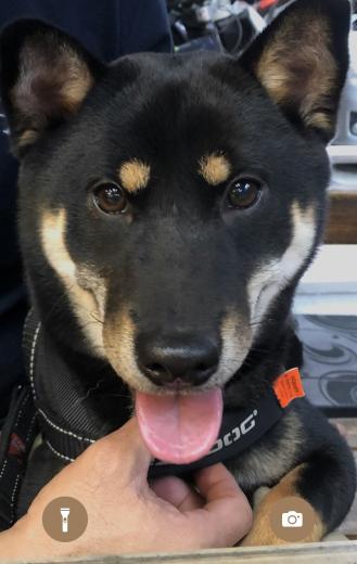 【哈吉麻】帶著【冬冬】來報到囉！