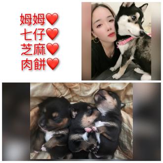 【陳奕文】帶著【姆姆