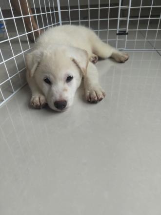 【】帶著【豆腐】來報到囉！