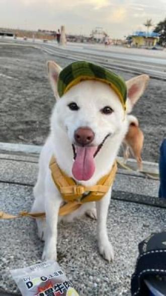 【黃宇翰】帶著【本丸】來報到囉！