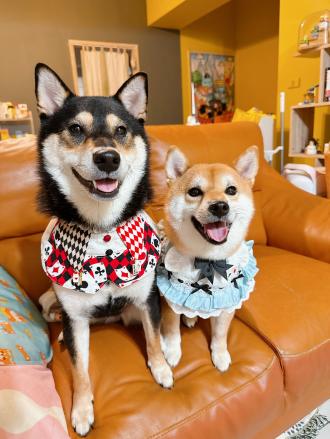 【妮可】帶著【小葵，躉躉】來報到囉！