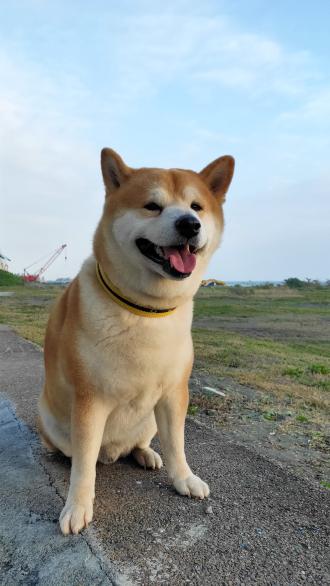 【】帶著【好運】來報到囉！