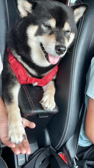 【chun】帶著【黑醬，Hero】來報到囉！