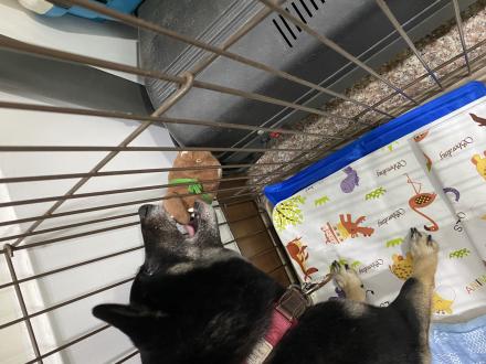 【雨辰】帶著【小寶】來報到囉！