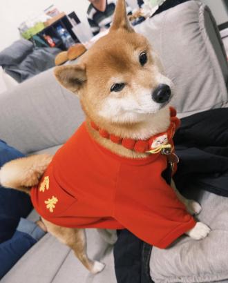 【ChuHan Chang】帶著【嘎逼】來報到囉！