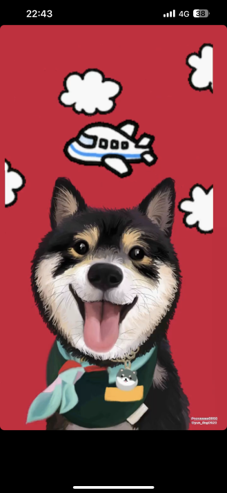 【李婉婷】帶著【Meatball 】來報到囉！