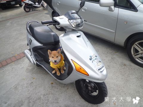 肯尼暈車(原發表者:肯尼麻)(綜合討論)