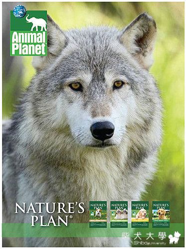 動物星球共同研發推薦 --- Nature