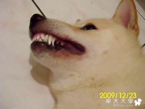 有誰家的寶貝有跟錢錢一樣的情況過呢(原發表者:錢錢麻)(醫療保健)