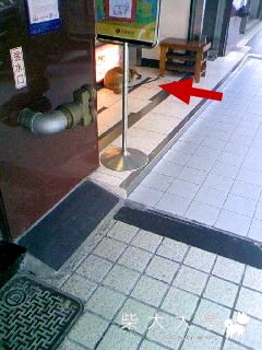 台北市懷寧路跟襄陽路口的壹咖啡看板犬(原發表者:doguni)(綜合討論)