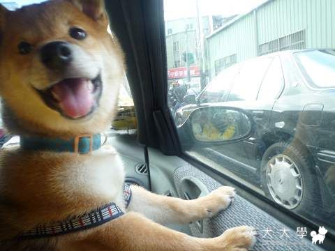 肯尼舔臉(原發表者:肯尼麻)(體能訓練)