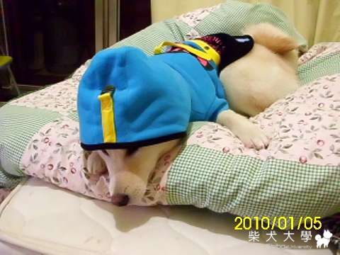 猜猜猜~我猜我猜我猜猜猜(原發表者:錢錢麻)(綜合討論)