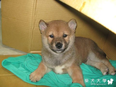 money小時後 ~(原發表者:Money麻)(相簿)