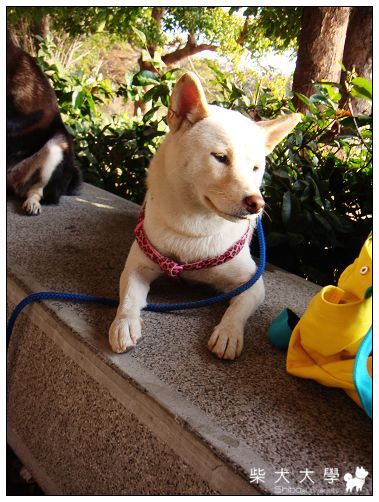 1/10 美術館揪照(原發表者:Q麻麻)(相簿)