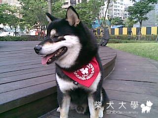 可愛照片分享(原發表者:毛筆家)(相簿)