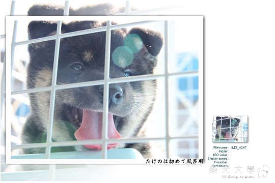 たけのは初めて風呂用(首次入浴)(原發表者:たけ拔麻)(相簿)