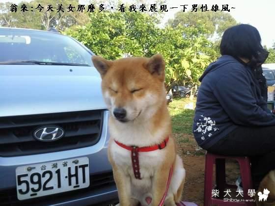 未滿18歲~禁入~(原發表者:翁來阿母)(綜合討論)