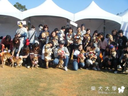 學園祭G組(原發表者:財兒)(品牌聯合)