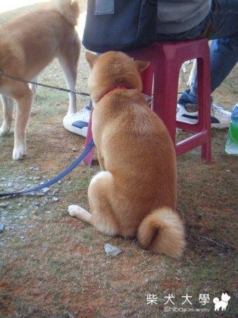 猜猜我是誰??(原發表者:財兒)(綜合討論)