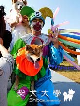 yosi家來謝票了(柴光大道最佳造型獎)(原發表者:YOSI麻)(綜合討論)