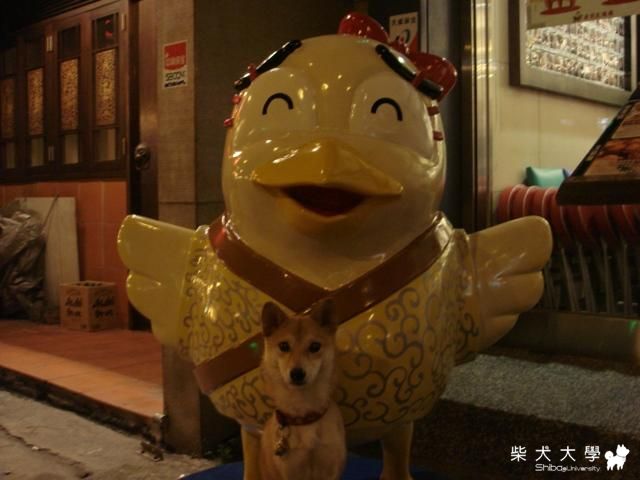 喬巴與雞(原發表者:喬巴爸)(綜合討論)
