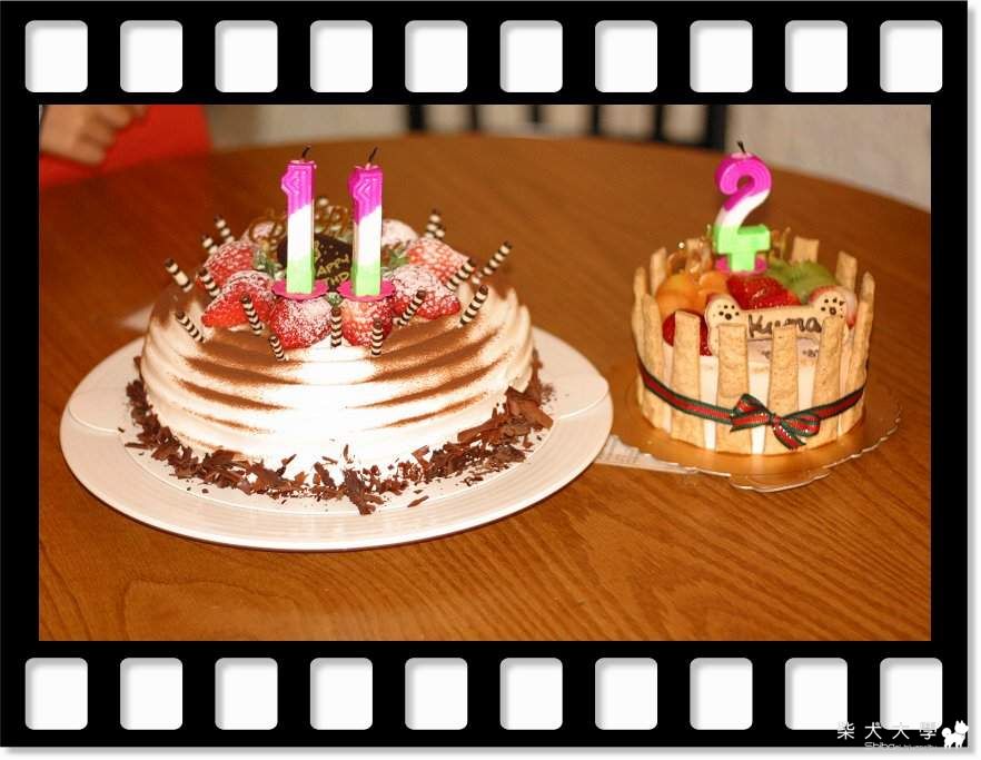 1月16日~寶貝們的生日~(原發表者:寶貝熊)(綜合討論)
