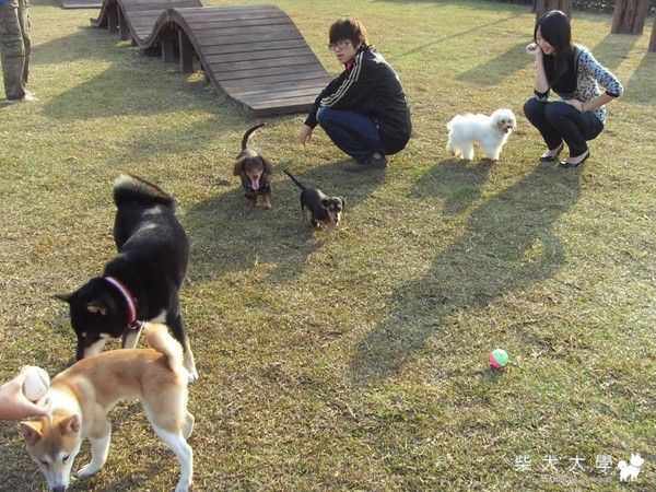 1/20台中寵物公園(不會錯了吧= =)(原發表者:DiDi媽)(綜合討論)