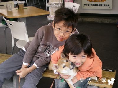 小孩與小柴(原發表者:gin)(綜合討論)