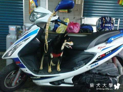 麵攤今天真熱鬧︿︿(原發表者:錢錢麻)(綜合討論)