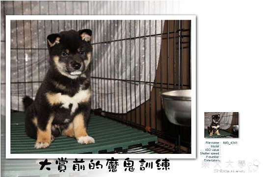 たけ參與大賞前的魔鬼訓練(原發表者:たけ拔麻)(體能訓練)