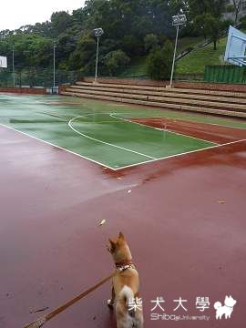 1/23國體大相揪亂亂拍(原發表者:pocky老母)(相簿)