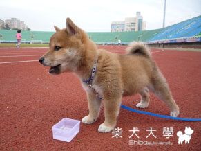 一郎第一次外拍(原發表者:nike200634)(綜合討論)