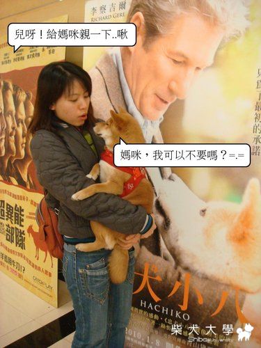 忠犬小八的翻版--贗品(原發表者:皮蛋)(綜合討論)