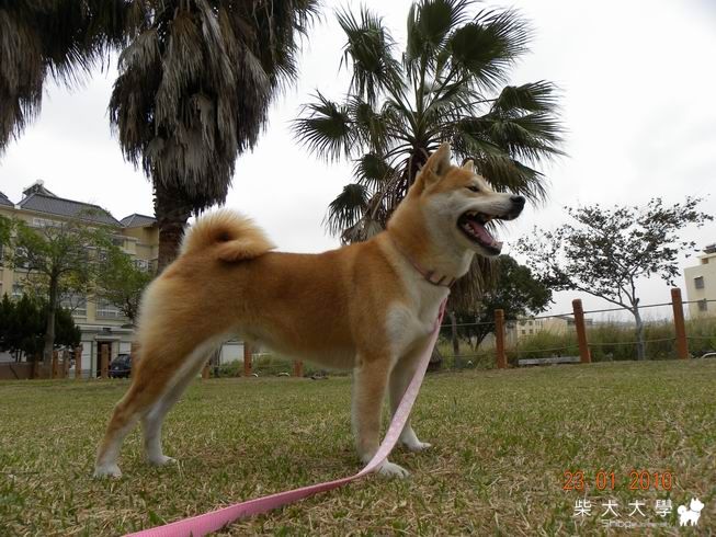 公園寫真趣(原發表者:小楓媽)(相簿)