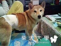 怎麼還是那麼愛吃呢......(原發表者:iouniky6888)(綜合討論)