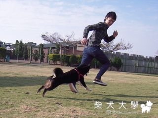 HARU柏林奔跑去!!(原發表者:haru0708)(相簿)