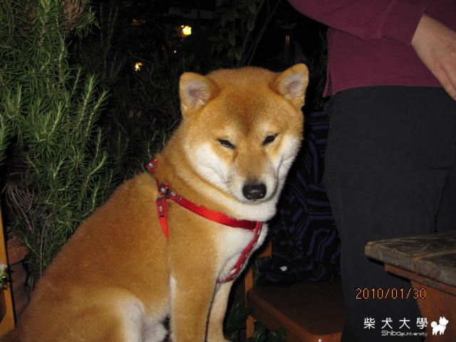 1/30台中尾牙(已補圖)(原發表者:bond15)(相簿)