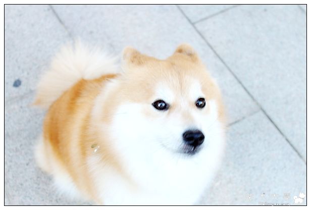 1/31 美術館揪照(原發表者:Q麻麻)(相簿)