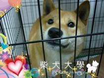 熱騰騰(原發表者:小雪姐)(綜合討論)