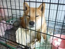 瞇瞇眼(原發表者:小雪姐)(綜合討論)