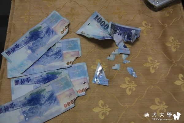 財妹看你幹的好事(原發表者:財妹拔拔)(綜合討論)