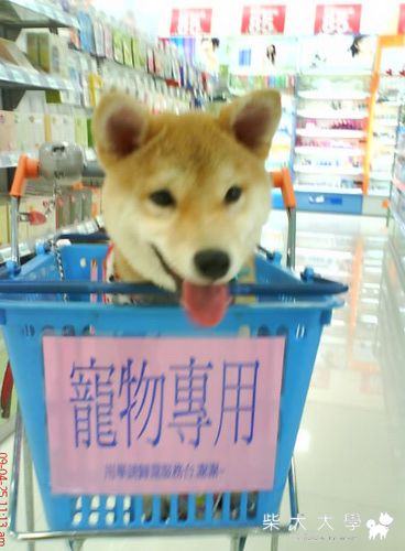 對面的帥哥看過來(原發表者:小米ˇ)(綜合討論)