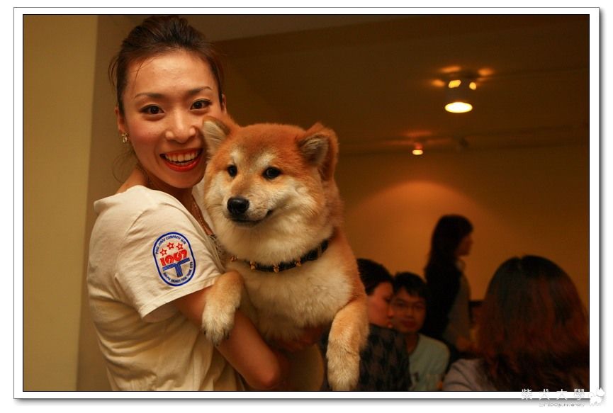 長毛柴...........(原發表者:even)(相簿)