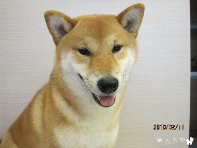 大家來找碴........(原發表者:庫奇哥)(綜合討論)